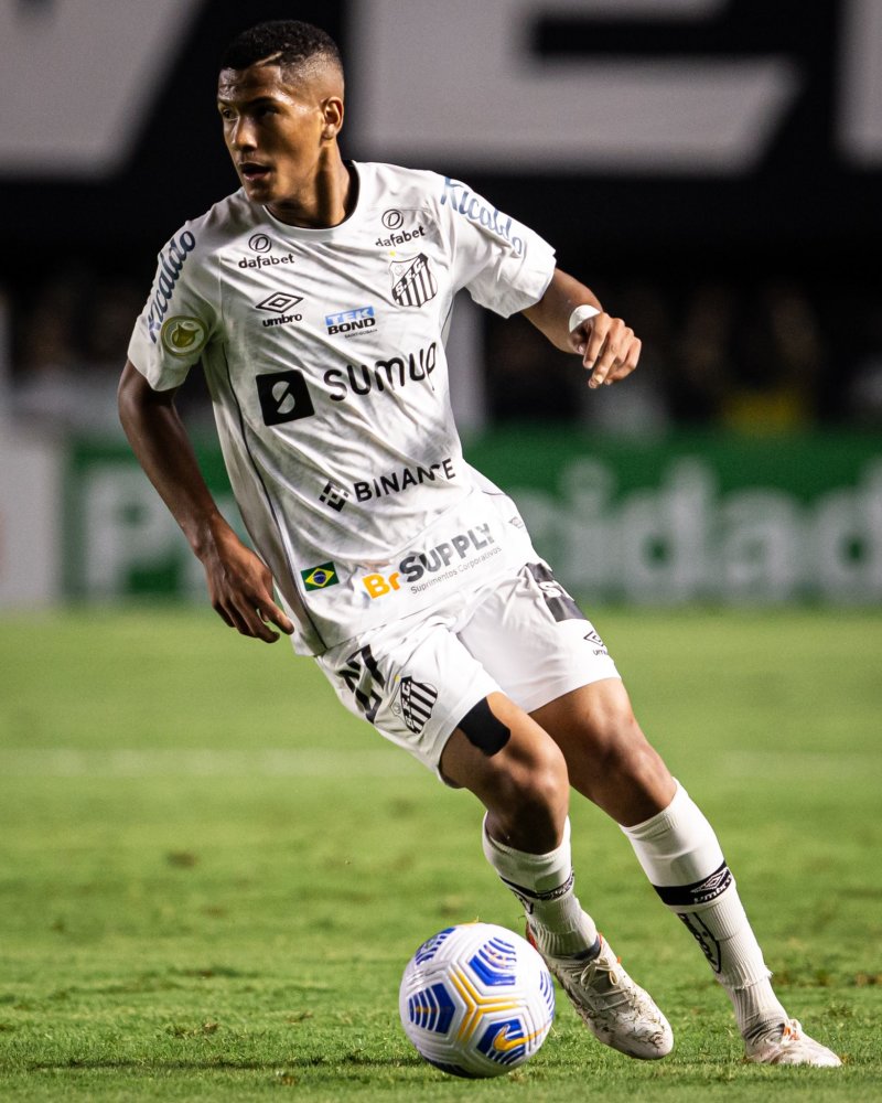 的表现直接 的表现直接