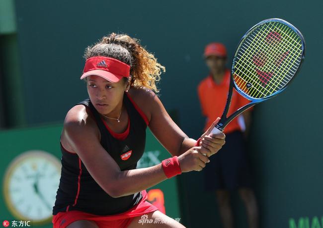 的和谐共存 的和谐共存