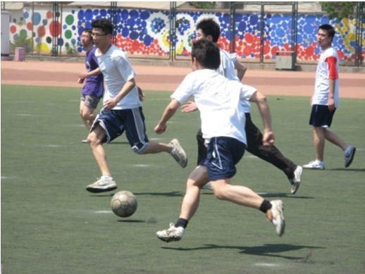 的职业态度 的职业态度